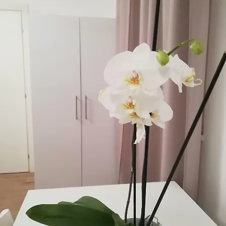 Apartamento Interno 3 Bari